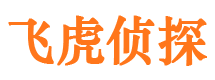 谢家集婚外情调查取证